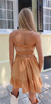 Aimee Dress in Bronze