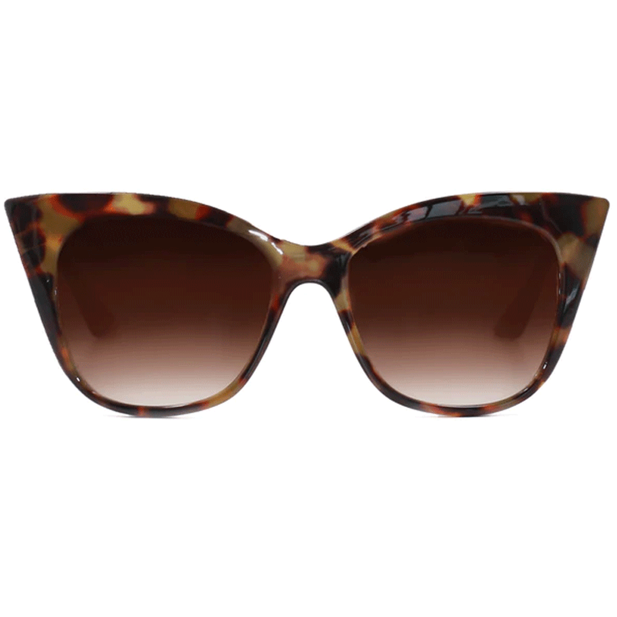 Venice - Tortoise Shell